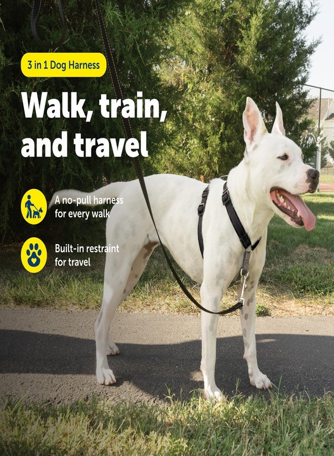 بيت سيف حزام صدر للكلاب 3 في 1 من بيت سيف - حزام صدر مريح وسهل المشي مع مشبك أمامي للرباط لتقليل الشد والاختناق والتقيؤ - معدات تدريب الكلاب على الطاعة - متوسط - أسود - Image 2